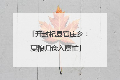开封杞县官庄乡：夏粮归仓入廪忙