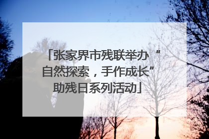 张家界市残联举办“自然探索，手作成长”助残日系列活动