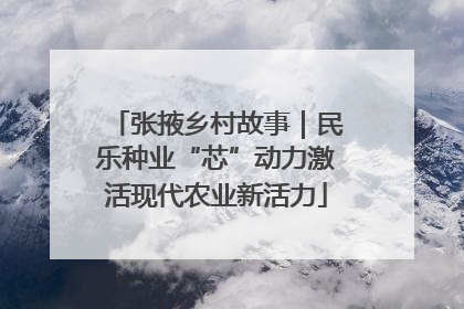 张掖乡村故事｜民乐种业“芯”动力激活现代农业新活力