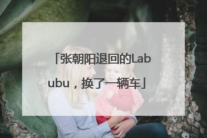 张朝阳退回的Labubu，换了一辆车