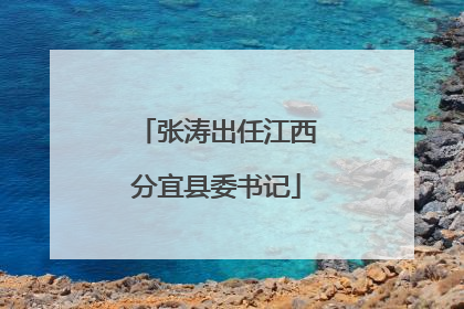 张涛出任江西分宜县委书记