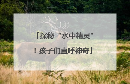 探秘“水中精灵”！孩子们直呼神奇