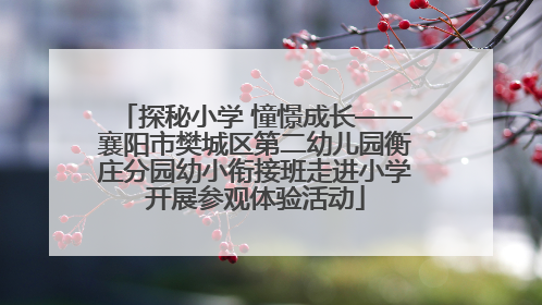 探秘小学 憧憬成长——襄阳市樊城区第二幼儿园衡庄分园幼小衔接班走进小学开展参观体验活动