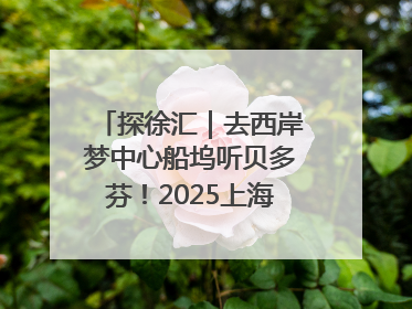 探徐汇｜去西岸梦中心船坞听贝多芬！2025上海夏季音乐节公布节目阵容