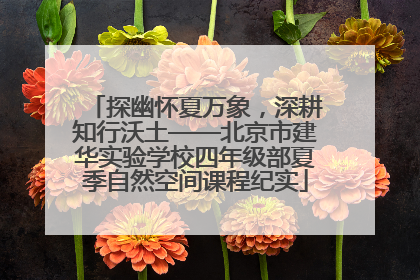 探幽怀夏万象，深耕知行沃土——北京市建华实验学校四年级部夏季自然空间课程纪实