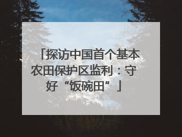 探访中国首个基本农田保护区监利：守好“饭碗田”
