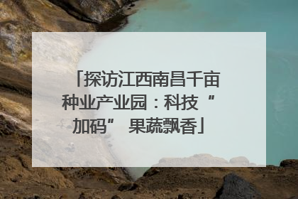 探访江西南昌千亩种业产业园：科技“加码” 果蔬飘香