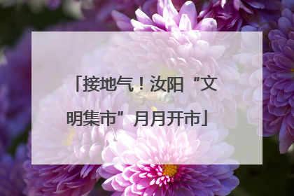 接地气！汝阳“文明集市”月月开市