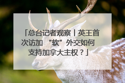 总台记者观察丨英王首次访加 “软”外交如何支持加拿大主权？