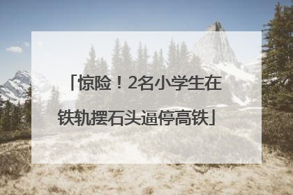 惊险！2名小学生在铁轨摆石头逼停高铁