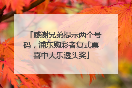 感谢兄弟提示两个号码，浦东购彩者复式票喜中大乐透头奖