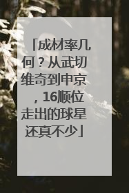 成材率几何？从武切维奇到申京，16顺位走出的球星还真不少