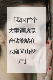 我国首个大型锂钠混合储能站在云南文山投产