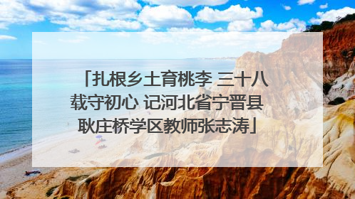 扎根乡土育桃李 三十八载守初心 记河北省宁晋县耿庄桥学区教师张志涛