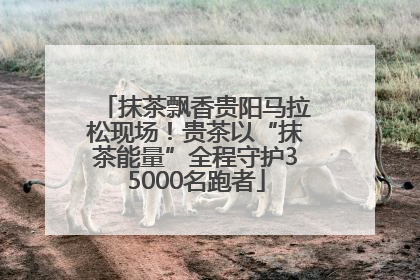 抹茶飘香贵阳马拉松现场！贵茶以“抹茶能量”全程守护35000名跑者