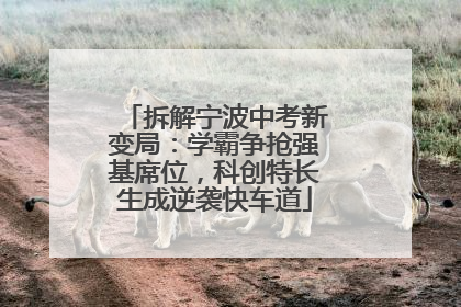 拆解宁波中考新变局：学霸争抢强基席位，科创特长生成逆袭快车道