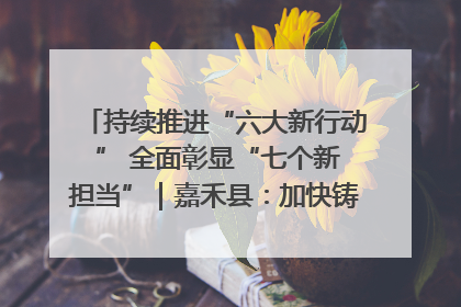 持续推进“六大新行动 ” 全面彰显“七个新担当”｜嘉禾县：加快铸造行业提档升级 助力绿色高质量发展