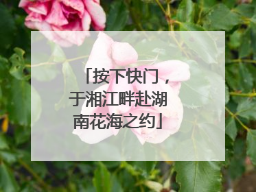 按下快门，于湘江畔赴湖南花海之约