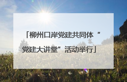 柳州口岸党建共同体“党建大讲堂”活动举行