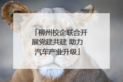 柳州校企联合开展党建共建 助力汽车产业升级