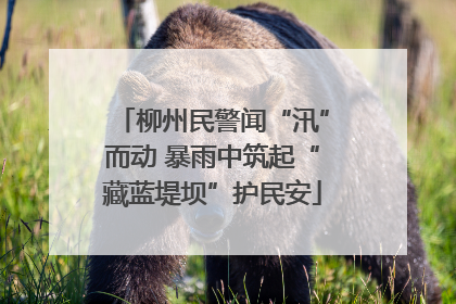 柳州民警闻“汛”而动 暴雨中筑起“藏蓝堤坝”护民安