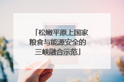 松嫩平原上国家粮食与能源安全的三峡融合示范