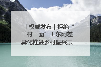 权威发布｜拒绝“千村一面”！东阿差异化推进乡村振兴示范片区建设