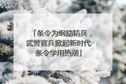 条令为纲励精兵，武警官兵掀起新时代条令学用热潮
