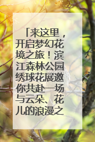来这里，开启梦幻花境之旅！滨江森林公园绣球花展邀你共赴一场与云朵、花儿的浪漫之约