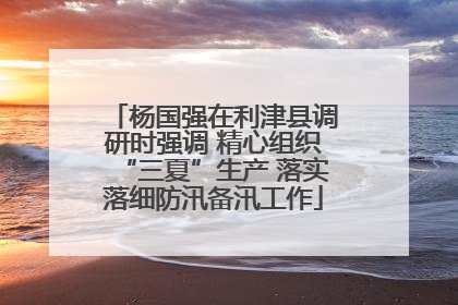 杨国强在利津县调研时强调 精心组织“三夏”生产 落实落细防汛备汛工作