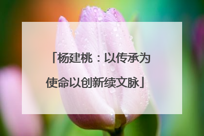 杨建桃：以传承为使命以创新续文脉