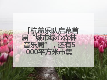 杭盖乐队启幕首届“城市绿心森林音乐周”，还有5000平方米市集、60余场免费活动等你来
