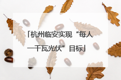 杭州临安实现“每人一千瓦光伏”目标