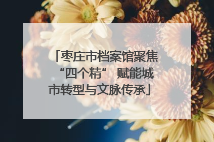 枣庄市档案馆聚焦“四个精” 赋能城市转型与文脉传承
