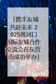 携手友城 共赴未来 2025黄河口国际友城合作交流会在东营市成功举办