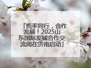 携手同行，合作发展！2025山东国际友城合作交流周在济南启动