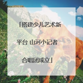 搭建少儿艺术新平台 山河小记者合唱团成立