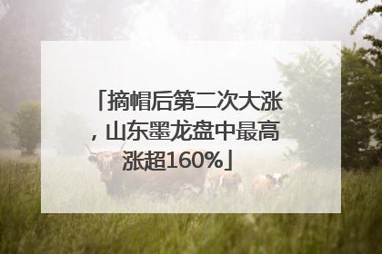 摘帽后第二次大涨，山东墨龙盘中最高涨超160%