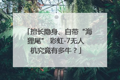 擅长隐身、自带“海狸尾” 彩虹-7无人机究竟有多牛？