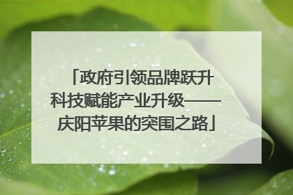 政府引领品牌跃升 科技赋能产业升级——庆阳苹果的突围之路