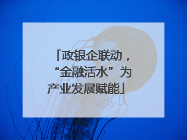 政银企联动，“金融活水”为产业发展赋能