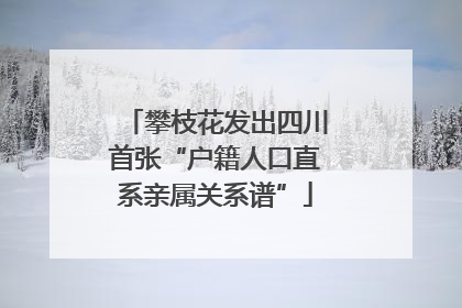 攀枝花发出四川首张“户籍人口直系亲属关系谱”