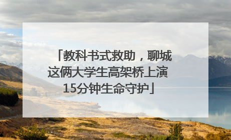 教科书式救助，聊城这俩大学生高架桥上演15分钟生命守护