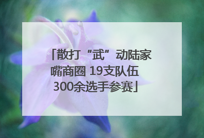 散打“武”动陆家嘴商圈 19支队伍300余选手参赛