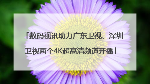 数码视讯助力广东卫视、深圳卫视两个4K超高清频道开播