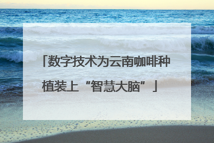 数字技术为云南咖啡种植装上“智慧大脑”
