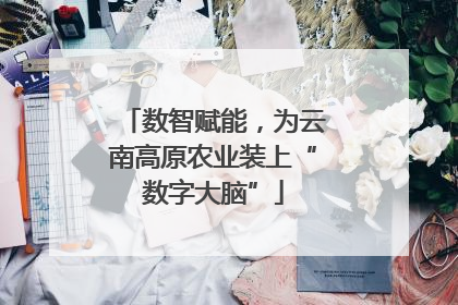 数智赋能，为云南高原农业装上“数字大脑”