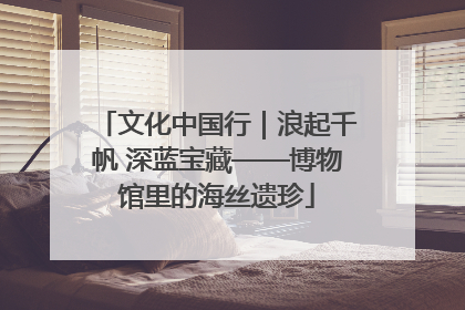 文化中国行｜浪起千帆 深蓝宝藏——博物馆里的海丝遗珍