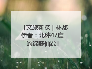 文旅新探｜林都伊春：北纬47度的绿野仙踪