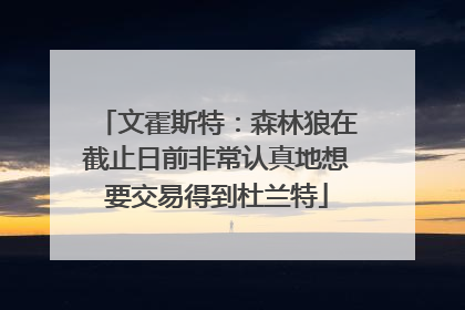文霍斯特：森林狼在截止日前非常认真地想要交易得到杜兰特